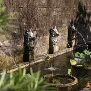 House Abadi Pond